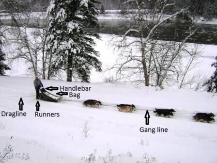 dog sledding terminology